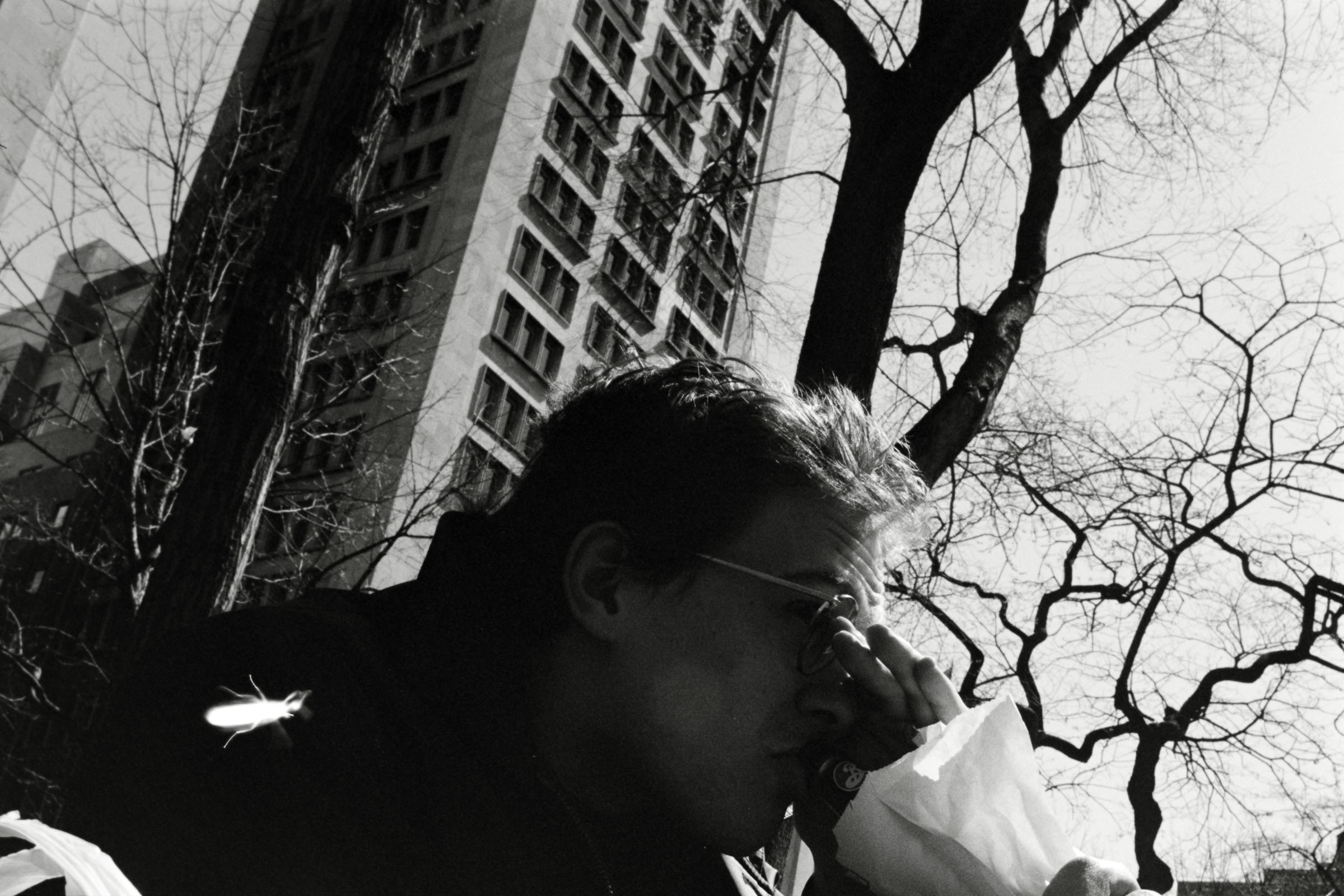 AHP F1995 04 009 sc240817 img19 NLP